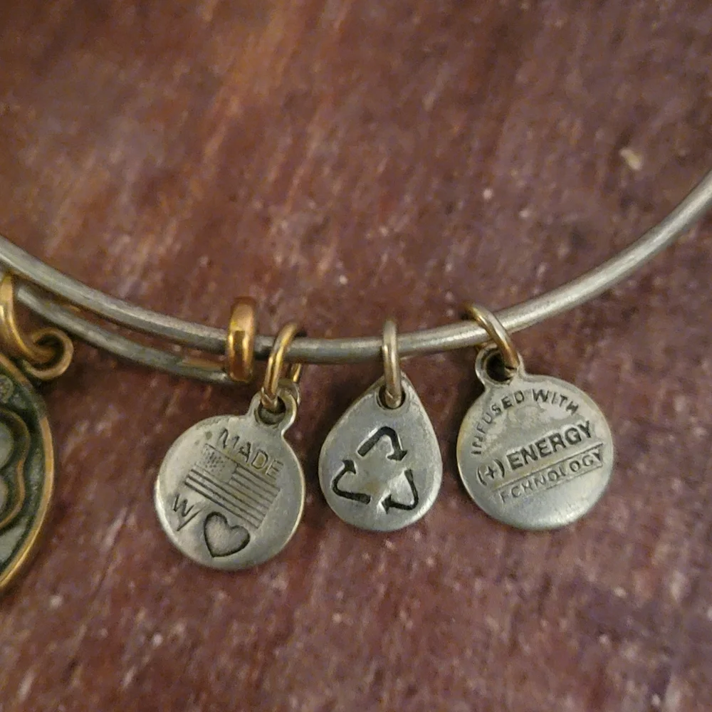 Alex and Ani "Four Leaf Clover" Bangle Bracelet - Retired - Picture 4 of 7